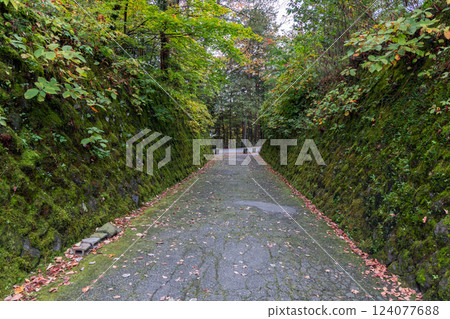 Quiet pathway in Sannai Nikko Japan with sloping mossy stone walls and fallen autumn leaves Quiet pathway in Sannai Nikko Japan with sloping mossy stone walls and fallen autumn leaves 124077688