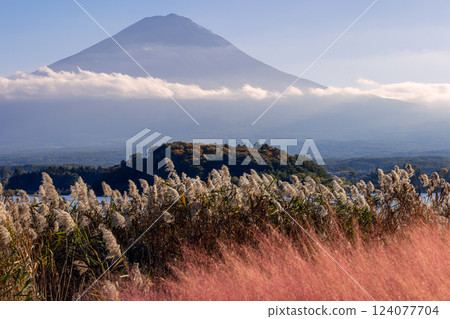 Iconic autumn view of Mount Fuji at Lake Kawaguchi Japan with layered perspectives golden reeds Iconic autumn view of Mount Fuji at Lake Kawaguchi Japan with layered perspectives golden reeds 124077704