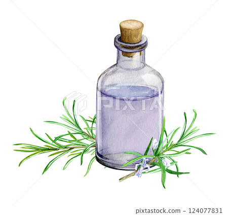 Fresh branches and a bottle of Rosemary essential oil or infused water. Natural ingredient for cosmetics, perfumery. Aromatic rosemary hydrolate. Watercolor illustration. 124077831