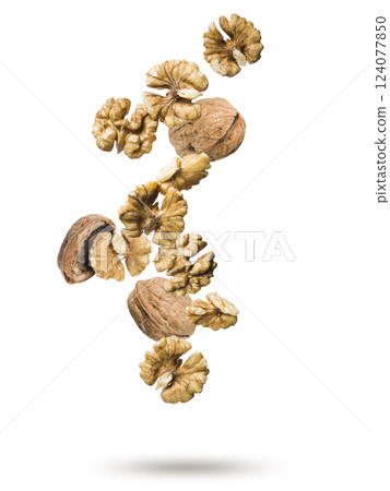 walnuts walnuts 124077850