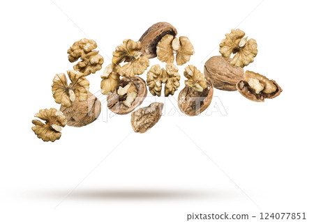 walnuts walnuts 124077851
