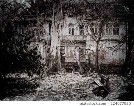 A decaying old house stands behind a veil of autumn leaves, surrounded by overgrown vegetation and a weathered bench, evoking nostalgia and mystery. A decaying old house stands behind a veil of autumn leaves, surrounded by overgrown vegetation and a weathered bench, evoking nostalgia and mystery. 124077920