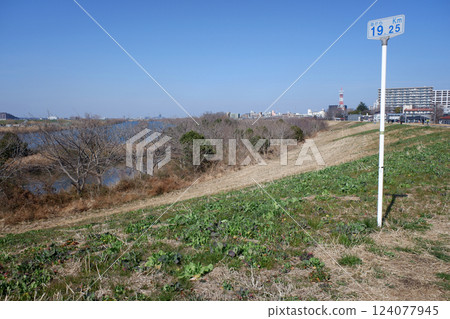 千葉縣松戶市江戶川及堤壩,距海19.25公里 千葉縣松戶市江戶川及堤壩,距海19.25公里 124077945