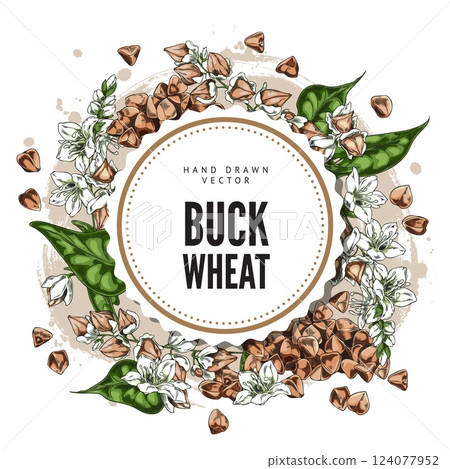Buckwheat branch with flowers, leaves and seeds sketch vector round label design, hand drawn agricultural food products 124077952