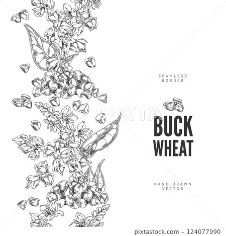 Buckwheat branch with flowers, leaves and seeds engraved sketch vector seamless border design, agricultural products 124077990