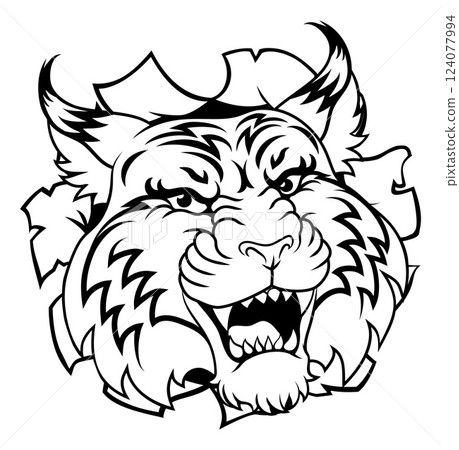 Wildcat Bobcat Sports Team Cartoon Animal Mascot 124077994