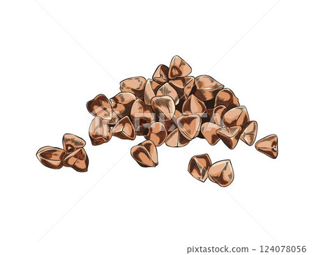 Buckwheat seeds vector sketch, hand drawn buckwheat groats pile, cereal crops, agriculture plant harvest, brown grains 124078056