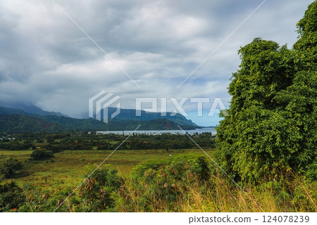 Lush green vegetation frames the Napali cliffs and Hanalei Bay on Kauai island, Hawaii. A small settlement rests in the valley under an overcast sky. Lush green vegetation frames the Napali cliffs and Hanalei Bay on Kauai island, Hawaii. A small settlement rests in the valley under an overcast sky. 124078239