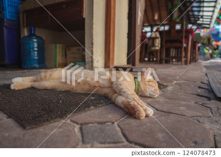 A ginger cat with a green collar lies on a doormat near hexagonal tiles, chairs, and tables, with festive decorations in a casual Thai cafe setting. 124078473