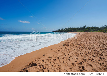 Golden sand beach with gentle ocean waves, sparse vegetation, and a forested hill under a clear blue sky, likely on Kauai or Oahu in Hawaii. Golden sand beach with gentle ocean waves, sparse vegetation, and a forested hill under a clear blue sky, likely on Kauai or Oahu in Hawaii. 124078641