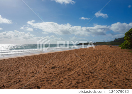 A tranquil beach with reddish brown sand, gentle waves, and a tree covered hill in the distance under a bright blue sky with scattered clouds. 124079083