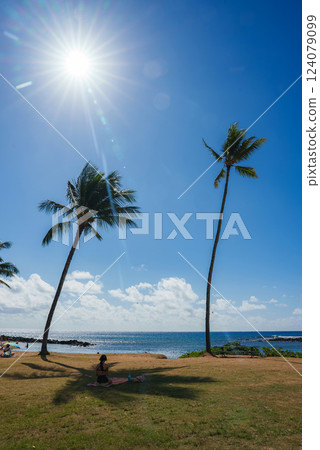 Two tall palm trees stand against a bright blue sky near a sparkling ocean. A person sits on the grass, with a rocky shoreline visible to the left. Two tall palm trees stand against a bright blue sky near a sparkling ocean. A person sits on the grass, with a rocky shoreline visible to the left. 124079099