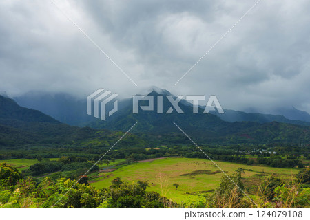 A green valley with vibrant vegetation, scattered cattle, and dramatic mist covered mountains on Kauai Island. Overcast sky adds a serene atmosphere. 124079108