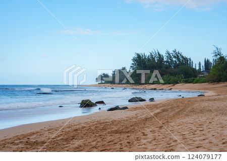 A tranquil beach on a Hawaiian island with golden sand, scattered rocks, calm ocean waves, lush greenery, and a clear blue sky in the background. 124079177