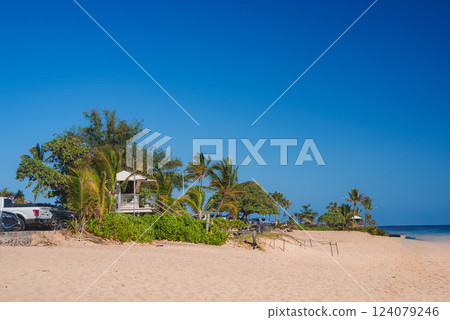 Golden sandy beach with a lifeguard tower, lush greenery, and palm trees. Calm ocean stretches to the right under a clear blue sky. 124079246