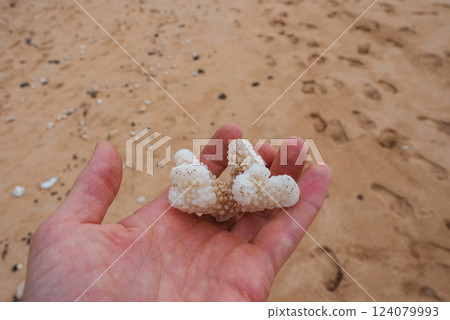 A close up of a hand holding a textured white coral piece. The sandy beach in the background shows scattered coral fragments and footprints. 124079993