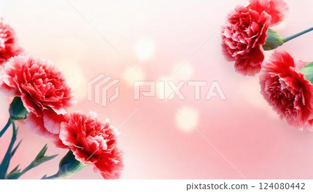 Carnation flower frame on a pink background Material for Mother's Day, weddings, and Valentine's Day 124080442