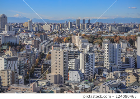 Aerial View of a Dense Urban Landscape, Tokyo Dec 6 2024 124080463