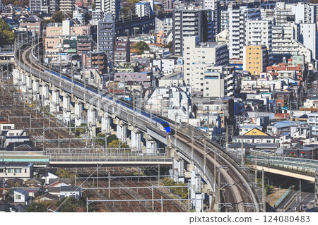 Train on Elevated Tracks in an Urban Cityscape, Tokyo Dec 6 2024 124080483