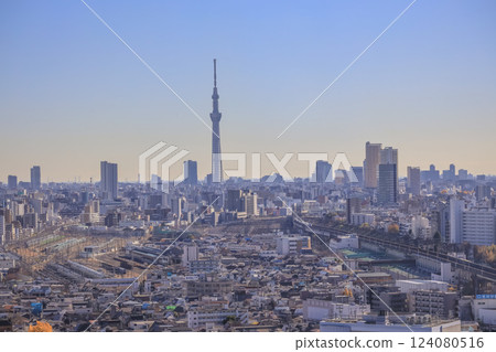 Urban Skyline Featuring Tokyo Skytree Tower, Tokyo Dec 6 2024 124080516
