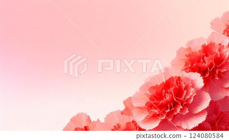 Carnation flower frame on a pink background Material for Mother's Day, weddings, and Valentine's Day 124080584