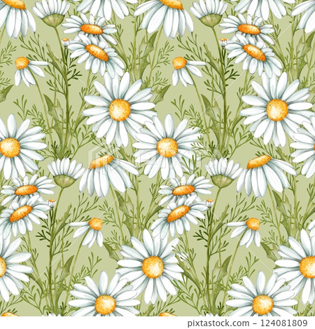 Summer floral background with white daisy flowers, leaves and grass. Floral seamless pattern. Summer floral background with white daisy flowers, leaves and grass. Floral seamless pattern. 124081809