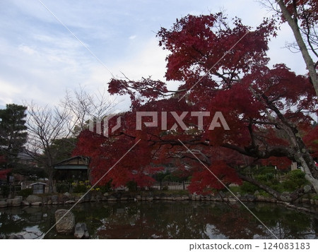 Autumn leaves Autumn leaves 124083183