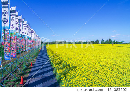 Heartful Farm rapeseed field in Nasu Town, Tochigi Prefecture Heartful Farm rapeseed field in Nasu Town, Tochigi Prefecture 124083302
