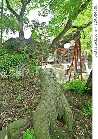 漫步於中山道安中宿：安中市熊野神社 124084506