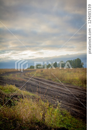 autumn ground road in a field with yellow grass 124085339