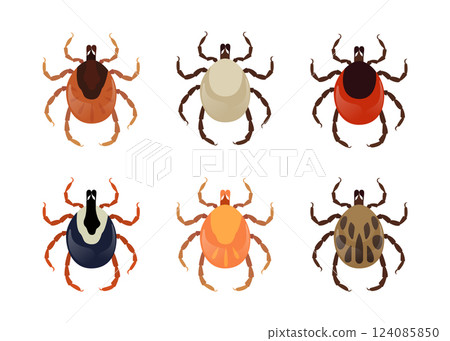 Six different types of mites on a white background 124085850