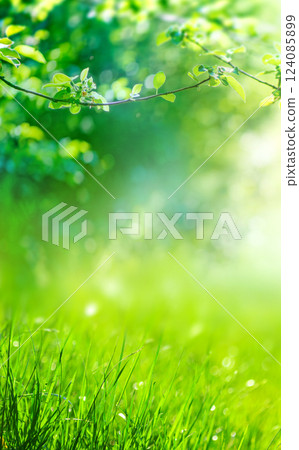 green natural grass and leaves background with sun rays 124085899
