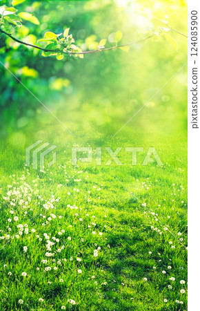 green natural grass and leaves background with sun rays green natural grass and leaves background with sun rays 124085900
