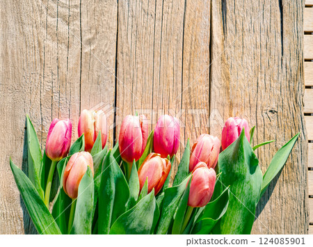 beautiful spring background with red tulips on wood beautiful spring background with red tulips on wood 124085901