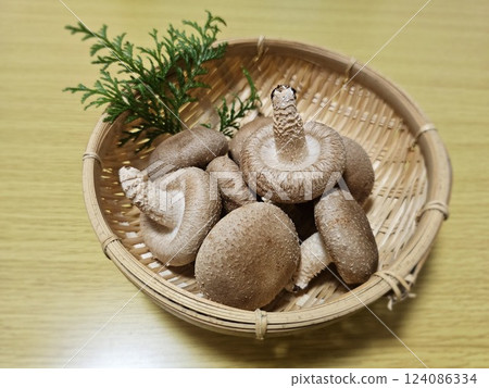 Shiitake mushrooms on a colander 124086334