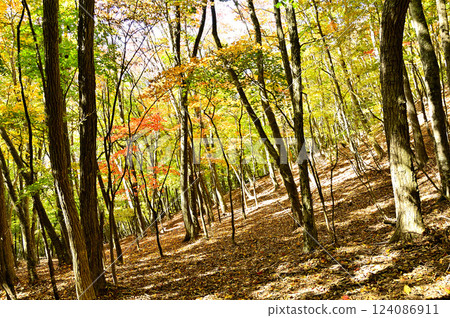 Nakanokurayama in the Tenshi Mountains: A mountain range of autumn leaves Nakanokurayama in the Tenshi Mountains: A mountain range of autumn leaves 124086911