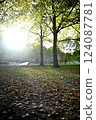 Sunshine filtering through trees in a park in London, England 01 124087781