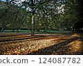 Sunshine in a park in London, England 02 124087782