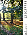 Sunshine filtering through trees in a park in London, England 03 124087783