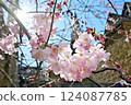 Spring in London: Cherry blossoms and scenery 01 124087785