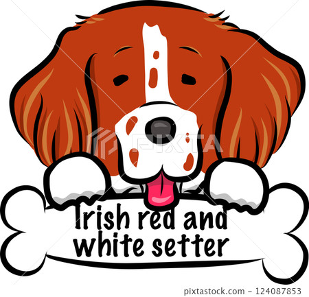 A pop, relaxed and cute hand-drawn style dog illustration of an Irish Red and White Setter that can be used on a website or in illustrations A pop, relaxed and cute hand-drawn style dog illustration of an Irish Red and White Setter that can be used on a website or in illustrations 124087853