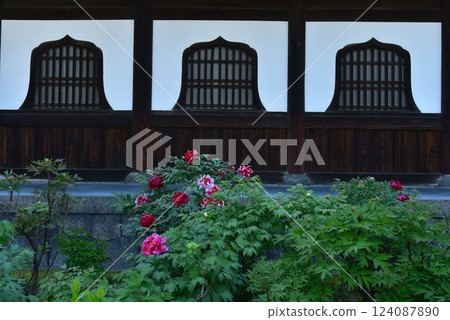 Firelight window and peony flowers at Kenninji Temple 124087890