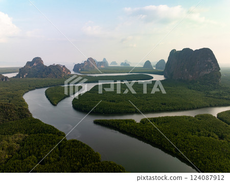 Amazing abundant mangrove forest river,Aerial view of forest trees Rainforest ecosystem and healthy environment background, Texture of green trees forest top down High angle view 124087912