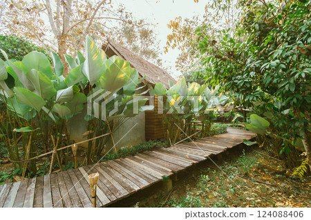 Local wooden house with tropical garden 124088406