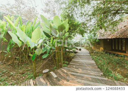 Local wooden house with tropical garden Local wooden house with tropical garden 124088433