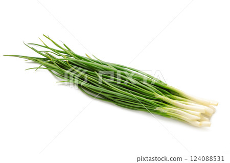 Green onion isolated on white background 124088531