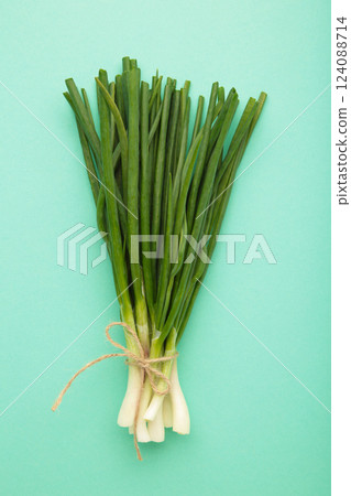 Green onion on mint background. Vertical photo 124088714