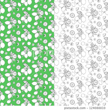 Citric lemons on the branches with slices and flowers seamless pattern. Graphic line ink black and white vector illustration for package, kitchen design, fabric and textile. 124088810