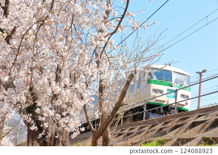 山梨縣的真六櫻～舊勝沼站月台～ 124088923