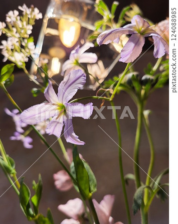 Interior flower 124088985